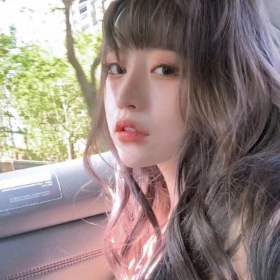 奇妙森林历险记游戏免费下载